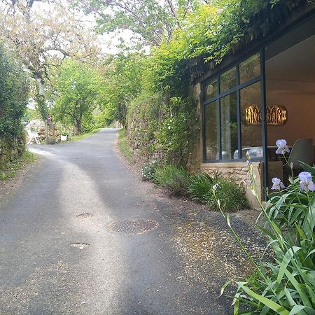 Chambre Du Sabotier - Studio Troglodytique - A 100 M Baignade En Riviere - Location De Canoe - Circuits Cyclo - Aire De Pique-Nique - 3 Restaurants Castelnaud La Chapelle Kültér fotó