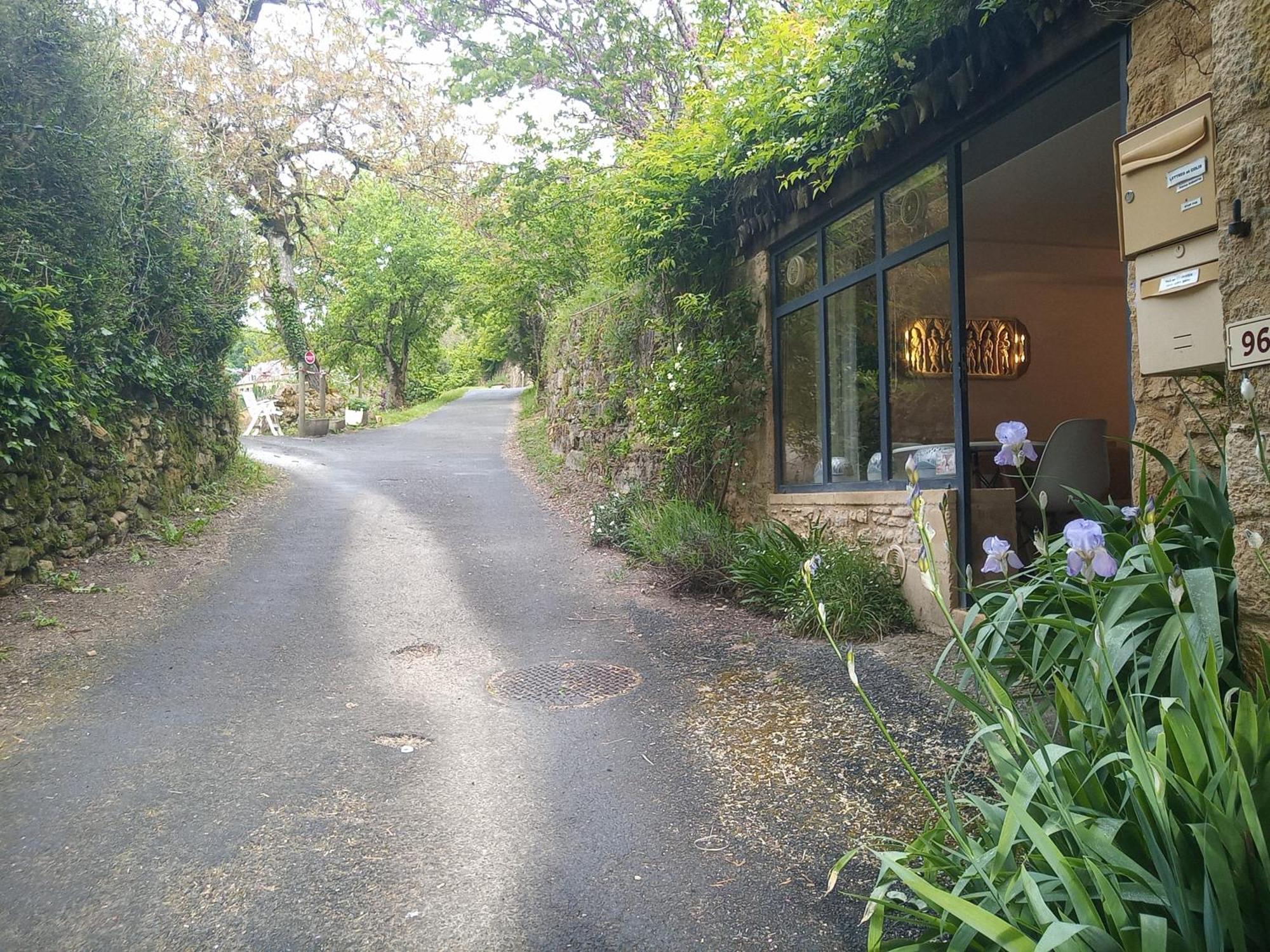 Chambre Du Sabotier - Studio Troglodytique - A 100 M Baignade En Riviere - Location De Canoe - Circuits Cyclo - Aire De Pique-Nique - 3 Restaurants Castelnaud La Chapelle Kültér fotó